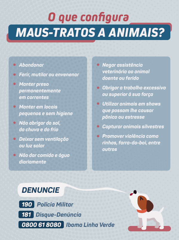 infográfico com informações a respeito de maus-tratos animais