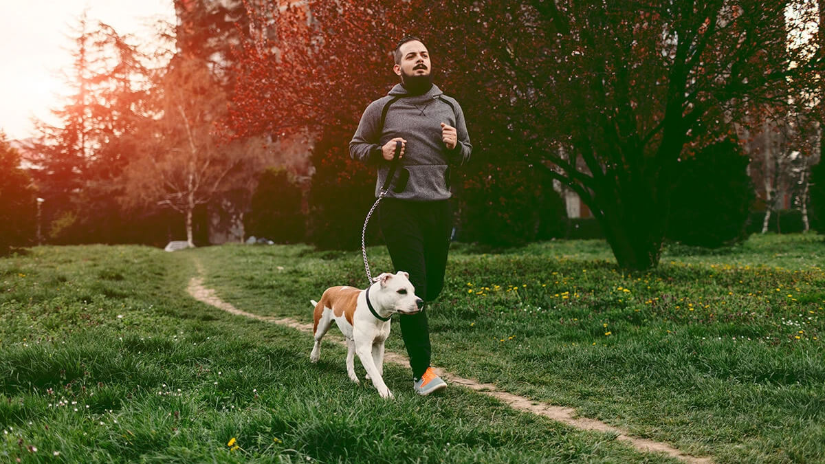 cão e dono correndo juntos num parque