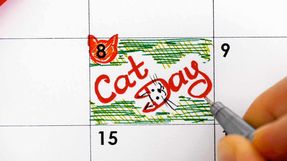 pessoa marcando o dia do gato em um calendário, desenhando dois gatinhos