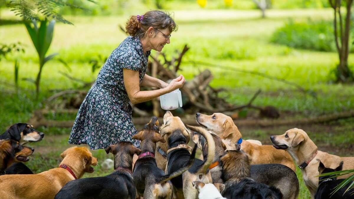 mulher dando petiscos para cachorros