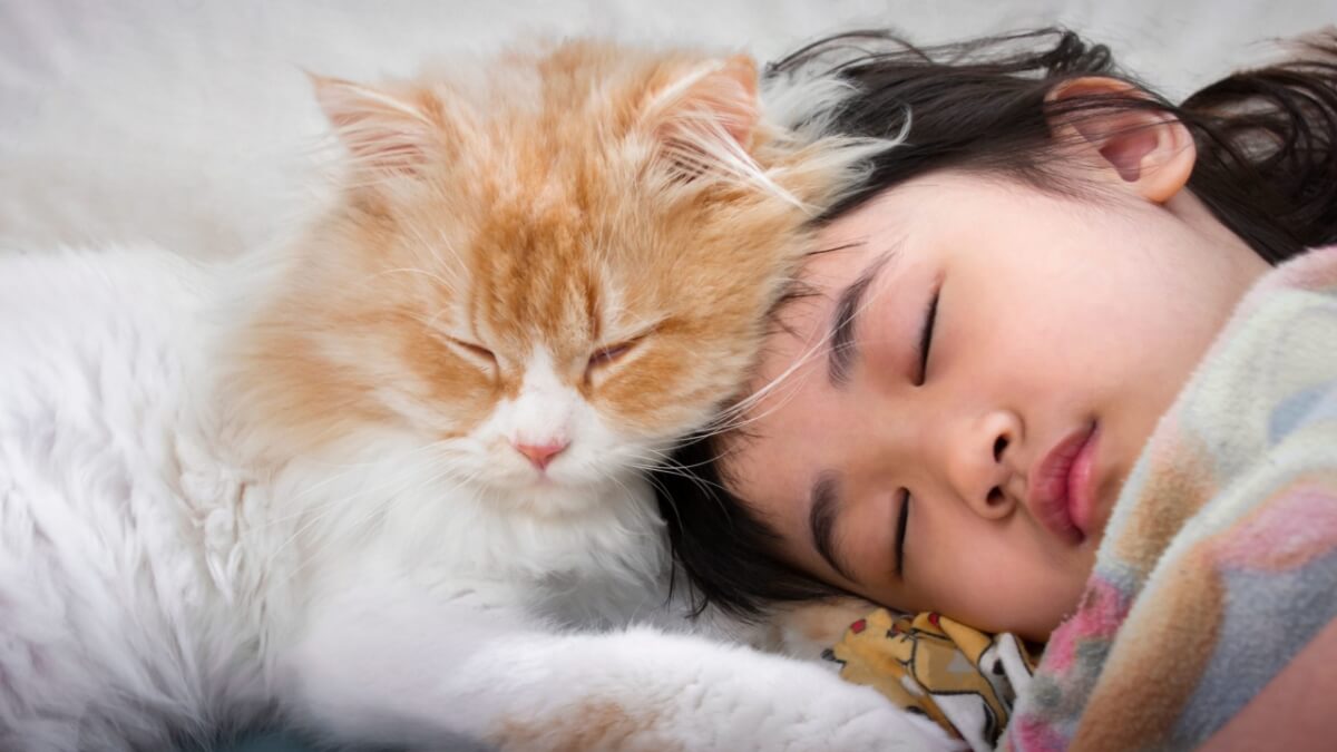 Gato dormindo com uma criança